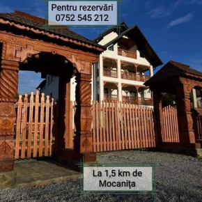 Pensiunea Casa Maramureșeană Vișeu de Sus